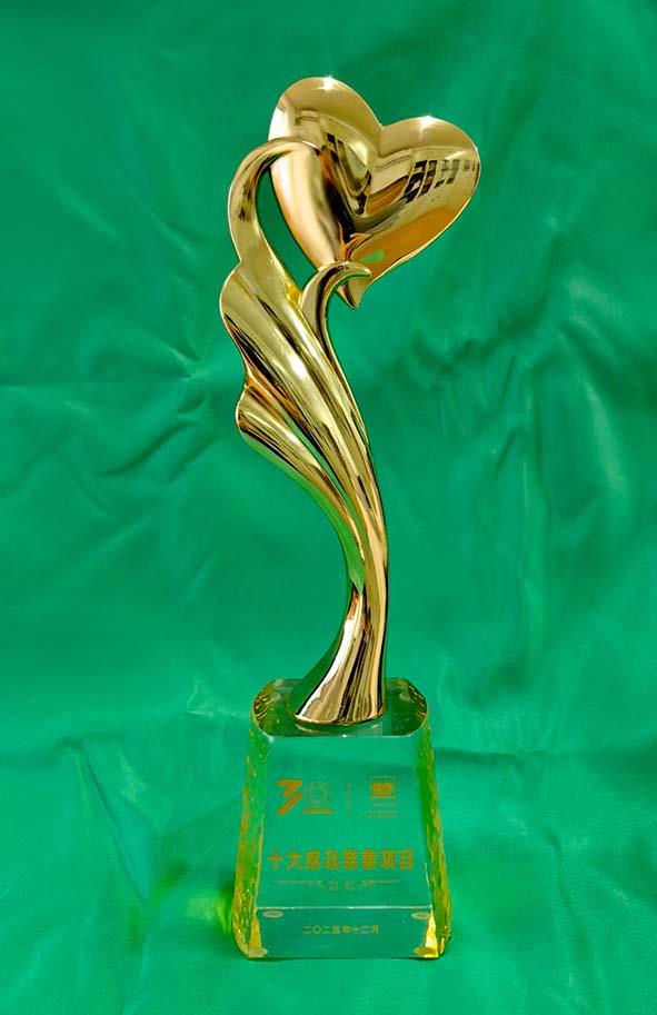 三十一载援孤路 大爱薪火照初心